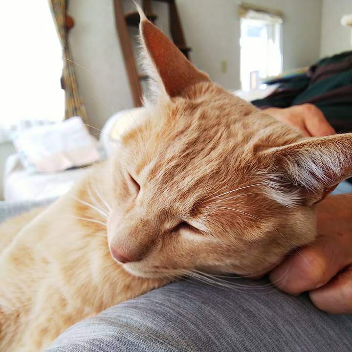 C3a08e6b 2b9a 46e6 ba0b 076f6bb76689 1614478047467