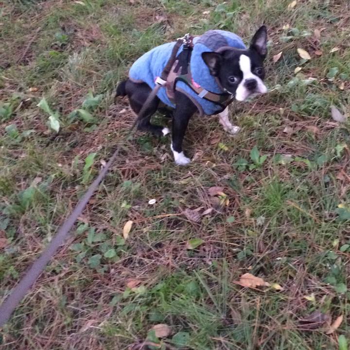 C3a0b7c0 17d3 420a 8f90 b2af4025a47f 1510980730732