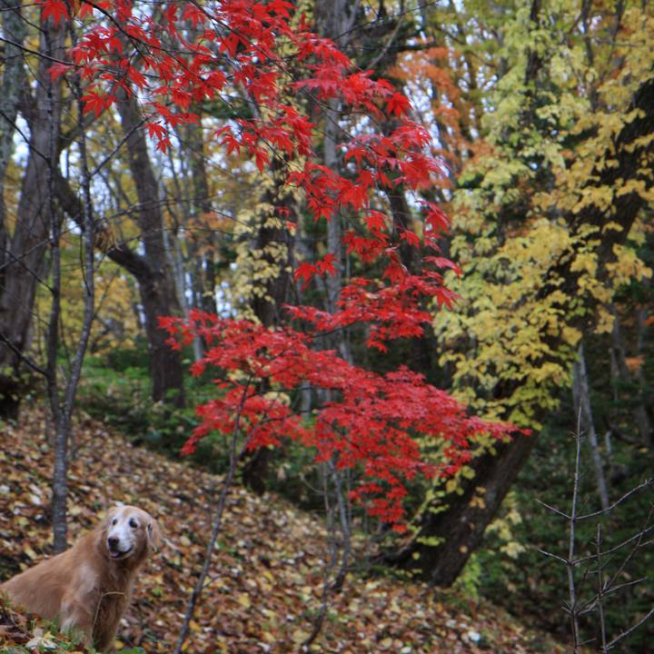 C3a0c075 9089 42da bac8 de6cab6123e3 1763110170594