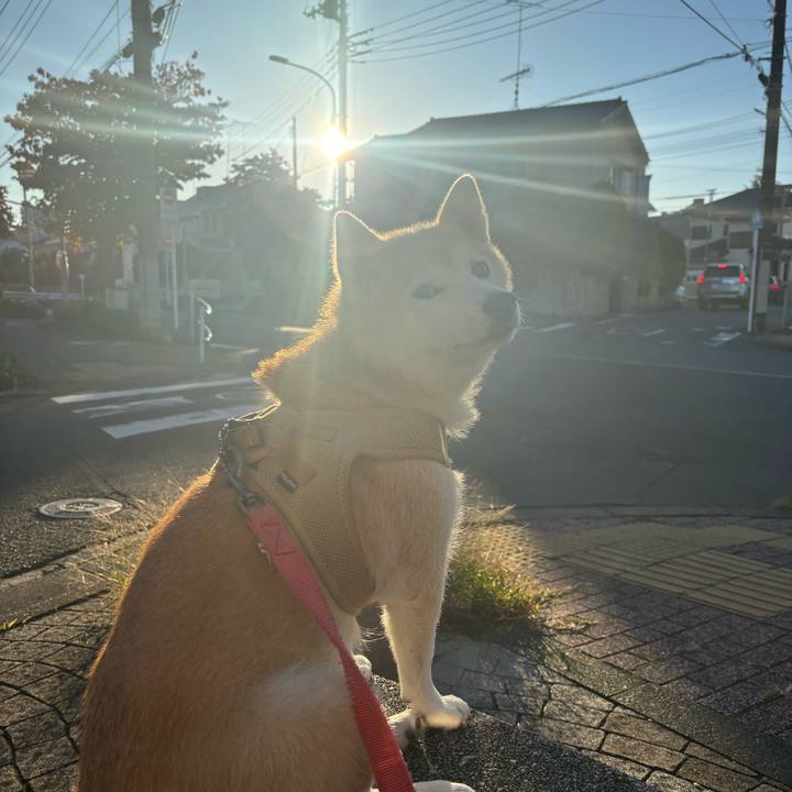 C3a16b74 b660 4815 89d0 1cf262ab7816 1762214522965