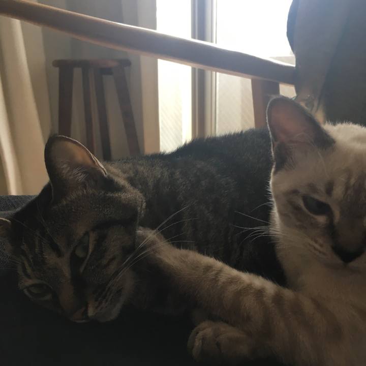 C3a1b1b0 a2b2 46f3 b9eb 17ab3249640f 1541573784255