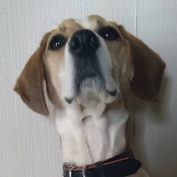 C3a1d078 86c5 4419 8586 3b4a8a20a4ca 1634992988437