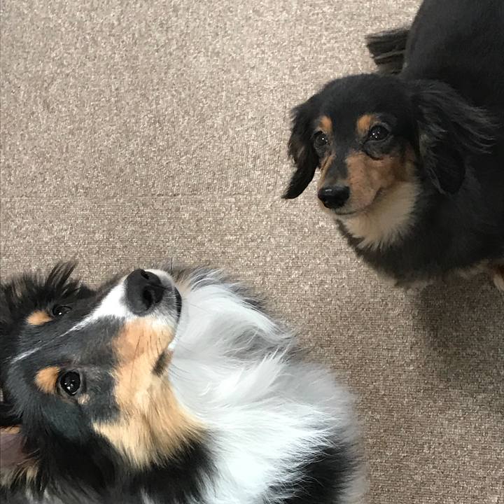 C3a1ea3d ed52 498a a728 6056faabe3bf 1520892850907