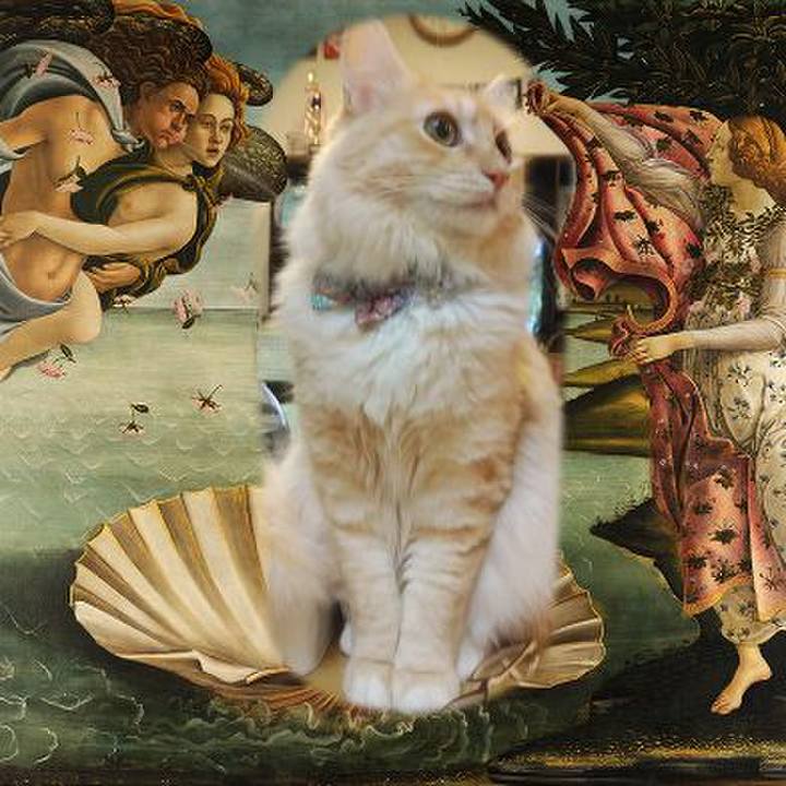 C3a1eb7d 3963 4b9a 8a11 5d98d7c4c494 1635844353566