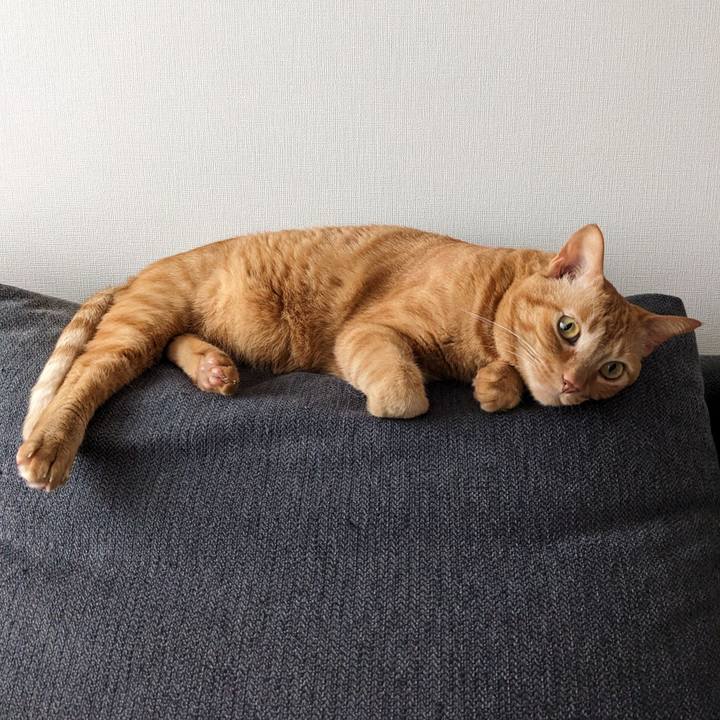 C3a1fd87 5fe5 4334 8728 2336e828d10f 1682235820859