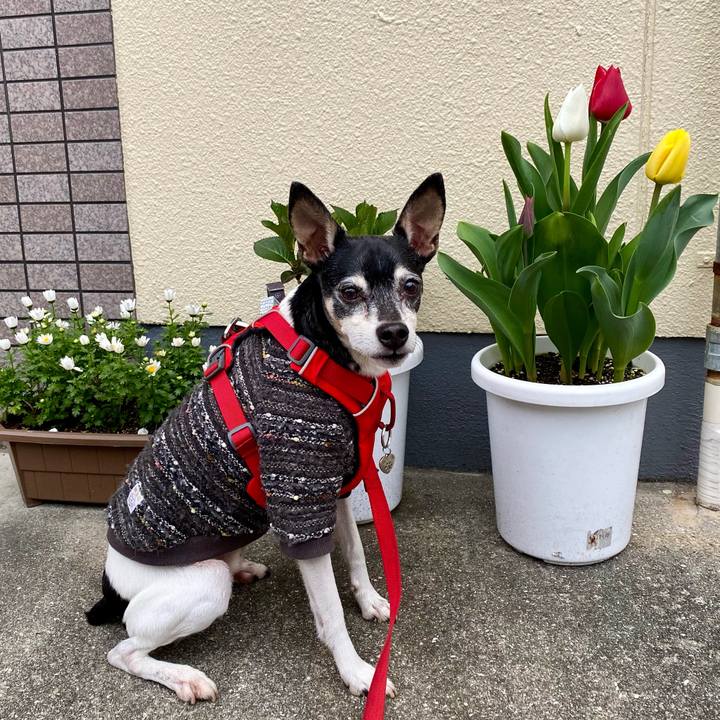 C3a20fa8 8b83 42b7 b6e9 8030cb606100 1616736521117