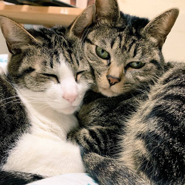 C3a23377 efeb 421e aa8c af39a8d1442a 1544526618486