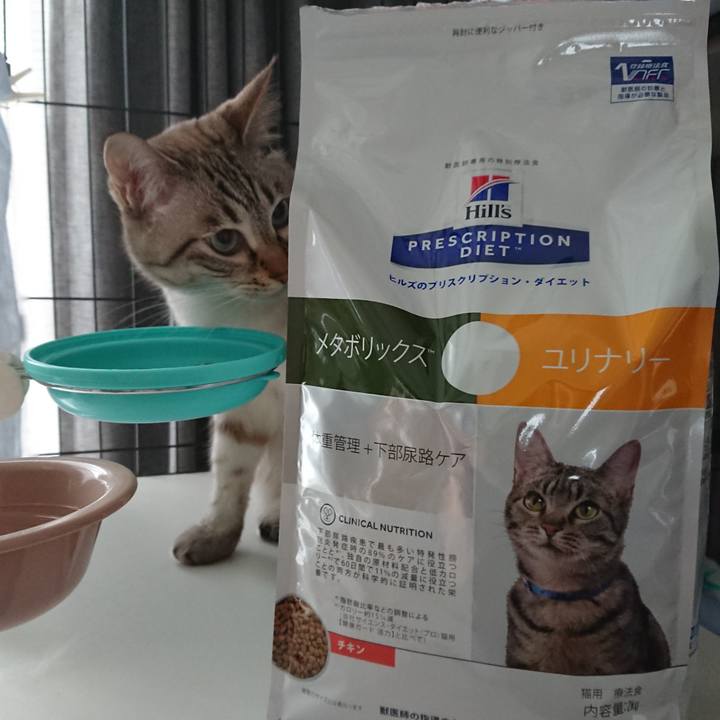 C3a239bd 6cd3 497d 8c9b 26c327b46ccd 1567207325967