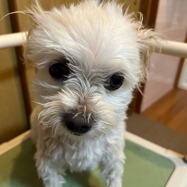 C3a24b0b 705b 4beb 80e5 c97c5247e7d5 1660818610262