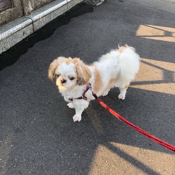 C3a2538b fc04 4a0b 8fe8 f0e559728aaa 1626046025512