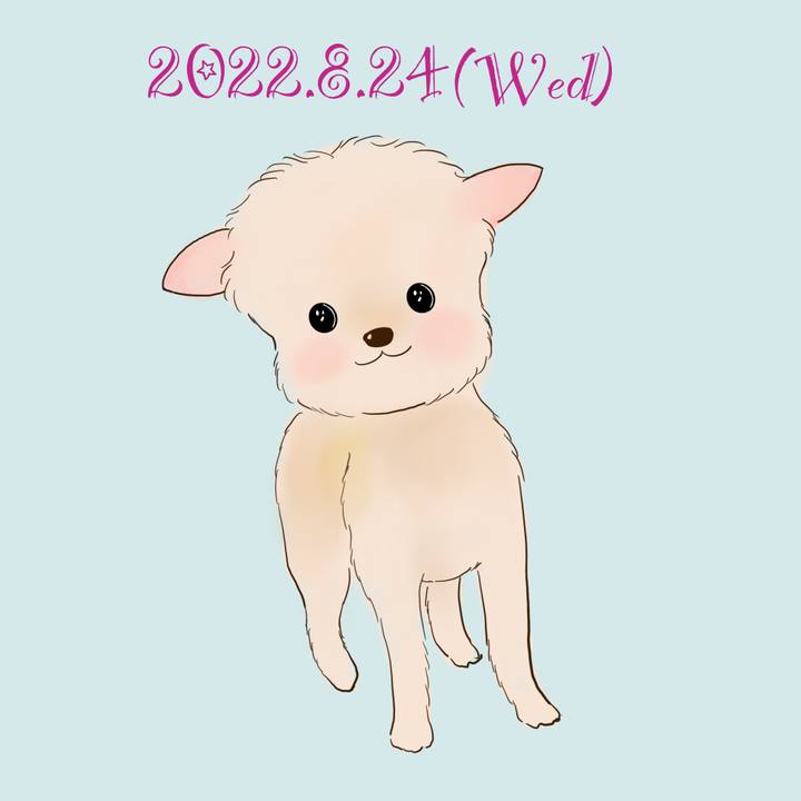 C3a29270 cb2a 4c44 b4bb eaa2ffca535b 1661340518490