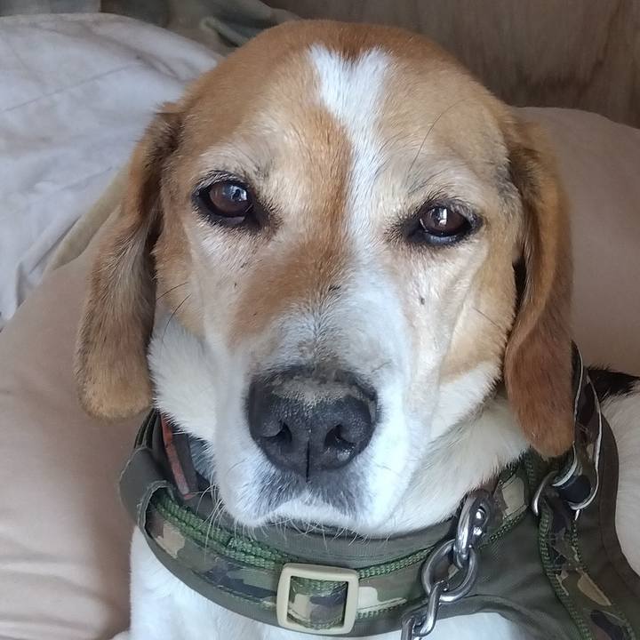 C3a2b091 b209 4dee 9e48 8b624aa9ae40 1711893522965