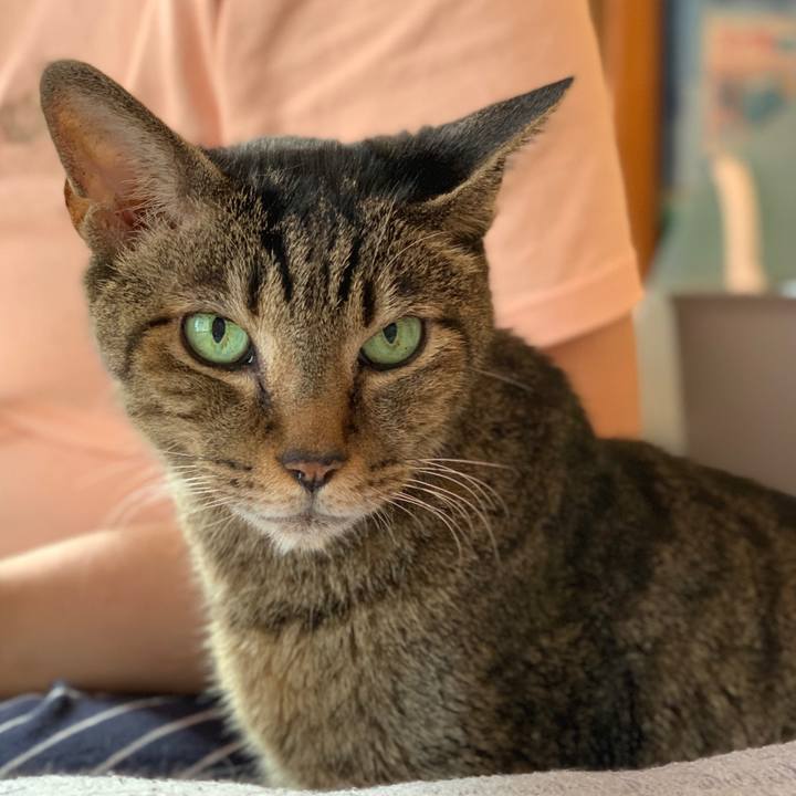 C3a2cba8 0646 4df6 ab8f aef2e56c0ea3 1602033184893