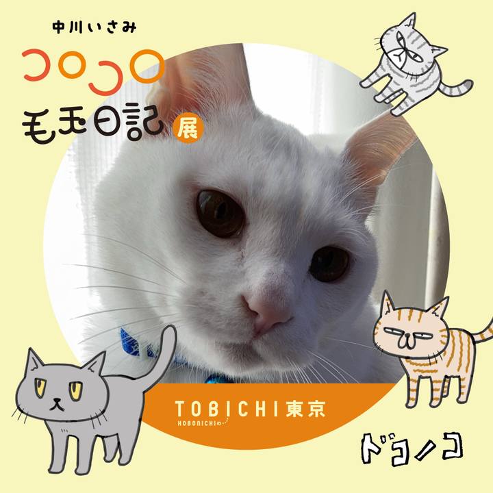 C3a2e765 3a41 48a7 a37b f656dae082ac 1740220748817