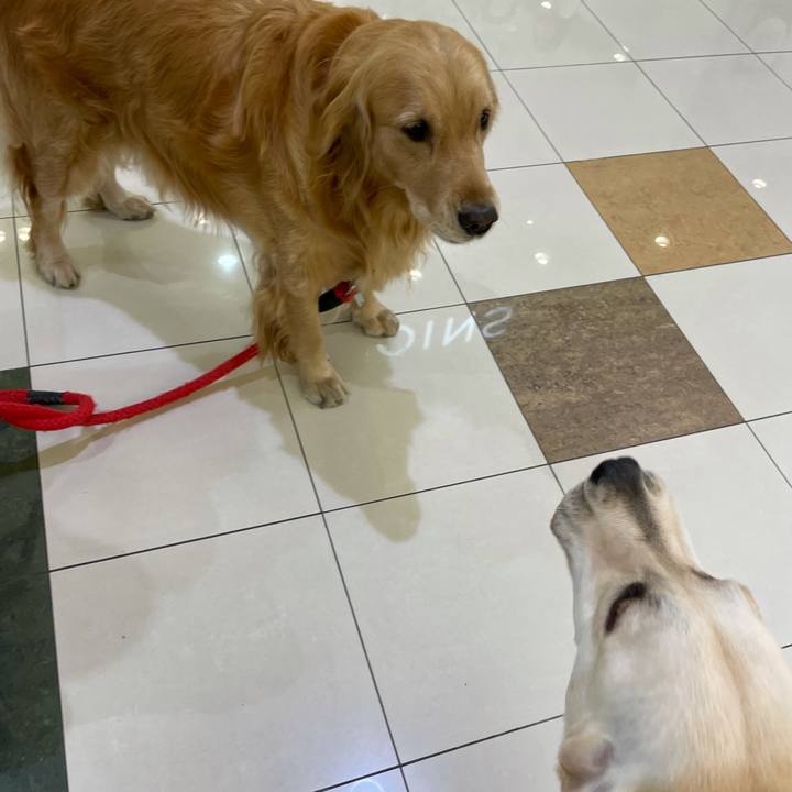 C3a2f254 abc3 4cba bad8 76569e07fb1d 1635301581673