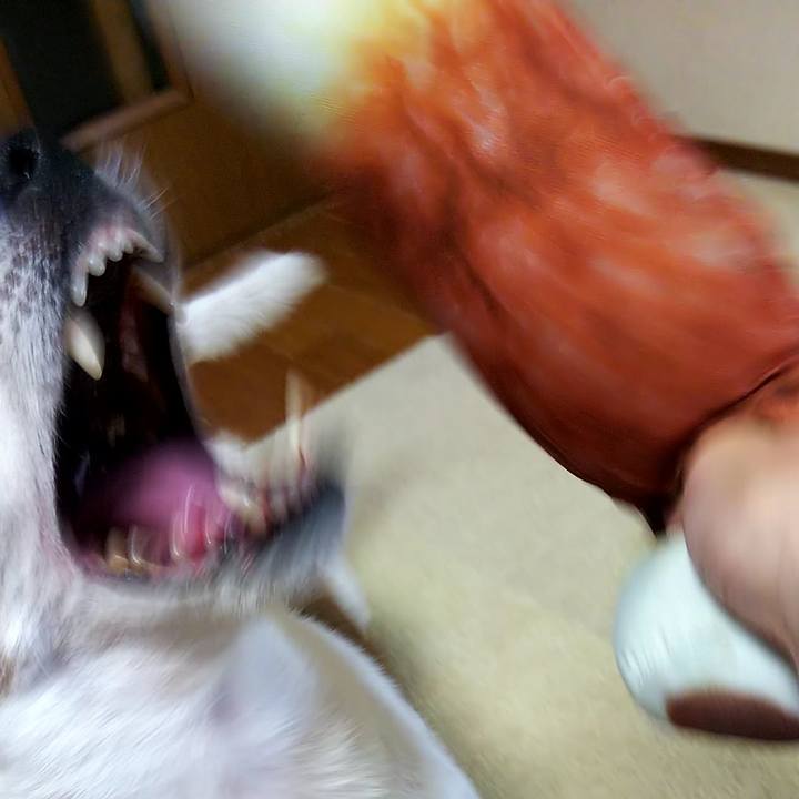 C3a33511 697f 456a 85a8 55878bbbd9e2 1534332540245