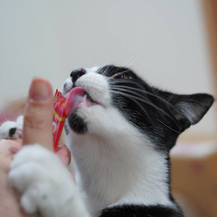 C3a36d0f e9e8 4934 b9dc 455040b6a777 1579824786573