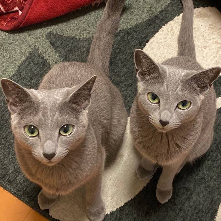 C3a371f1 bb82 4ae5 bed7 59c1fa961bfd 1649998090885