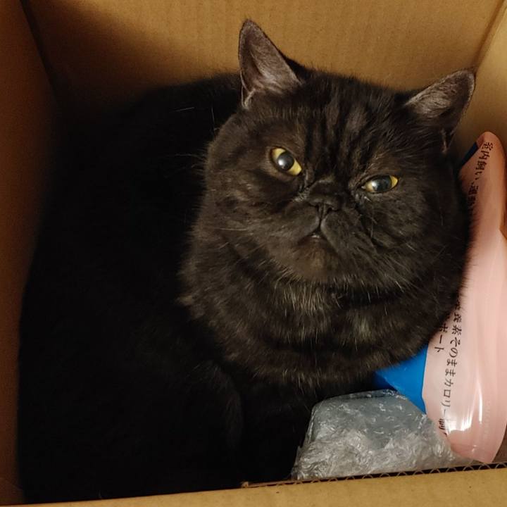 C3a37642 af64 41d4 8aaa 1e29e05f5667 1617104534803