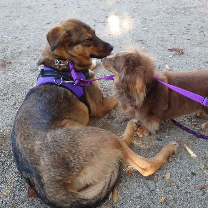 C3a37800 c404 43b8 9821 37eb1ee5ae96 1695599396314