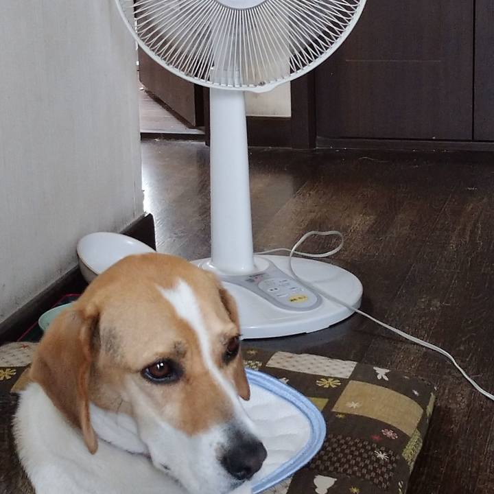 C3a467d6 e1f9 438d a23c 5e0c371d33a2 1590808382941