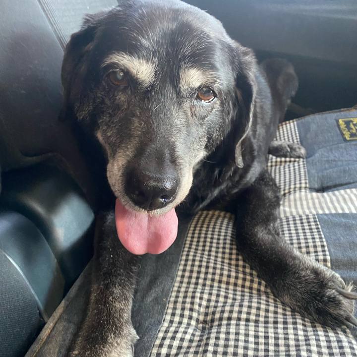 C3a479ad 9d2b 4bab abca 6b07ed29d994 1740715906591