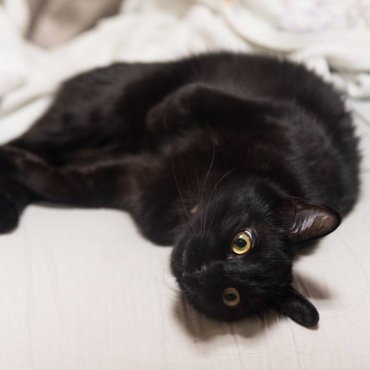 C3a48a21 bb35 4fb6 baf0 f99f6efbd96b 1583031338641