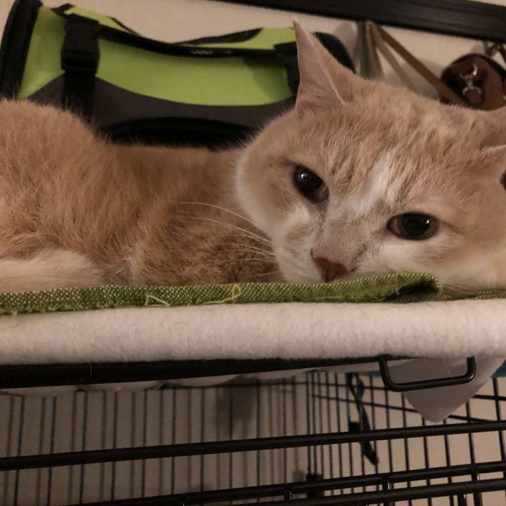 C3a4a124 50ee 4e12 9a75 ed7c037d2311 1540424672251