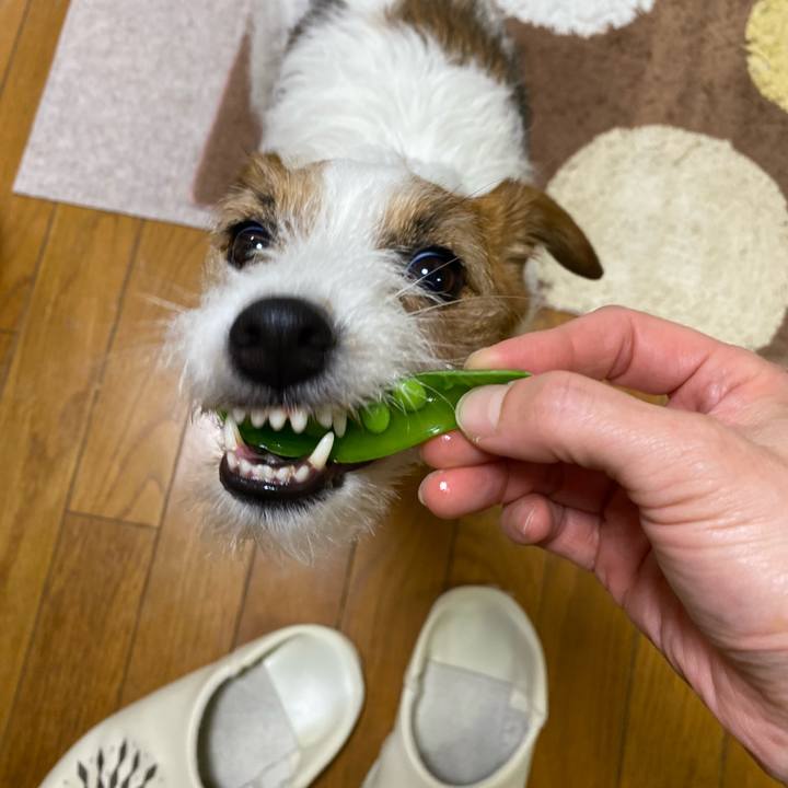 C3a4a466 d925 412d af74 7113881cc399 1739623615368