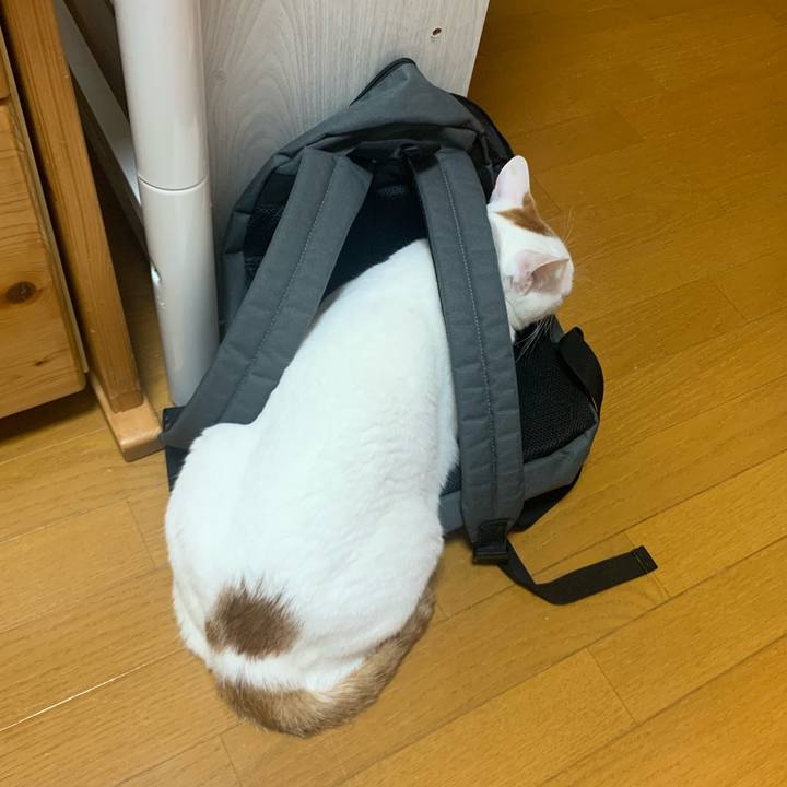 C3a4a593 ac42 43ca a97f 8916e01c5d3c 1575263167970