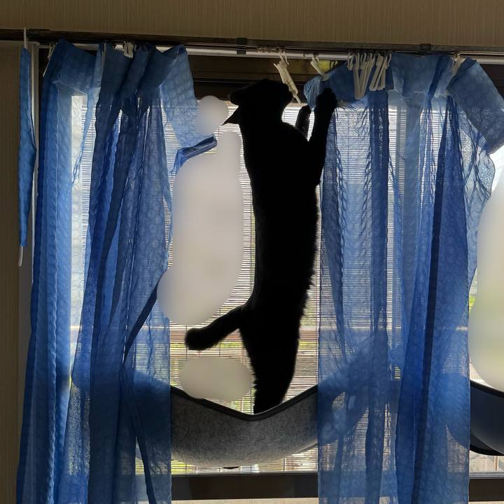 C3a4c800 919c 483f a5ff 29544d5b218a 1753832958620