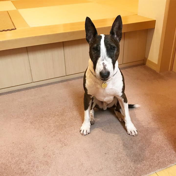 C3a4ee9a a40a 4e07 b6e8 7cd2b6e79e93 1528620873765