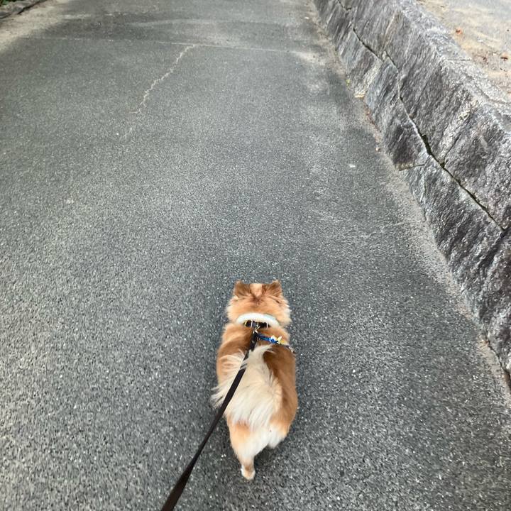 C3a4fcab 130a 4c4b a6d7 323ef0aab3b0 1755676592392