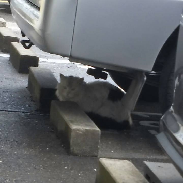 C3a516d2 627b 442d a2ec b919d245a750 1552805822075