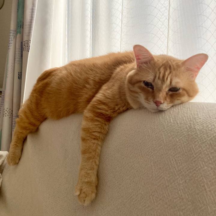 C3a52ca7 c8e8 4d86 81e2 452e1c547123 1765233812993