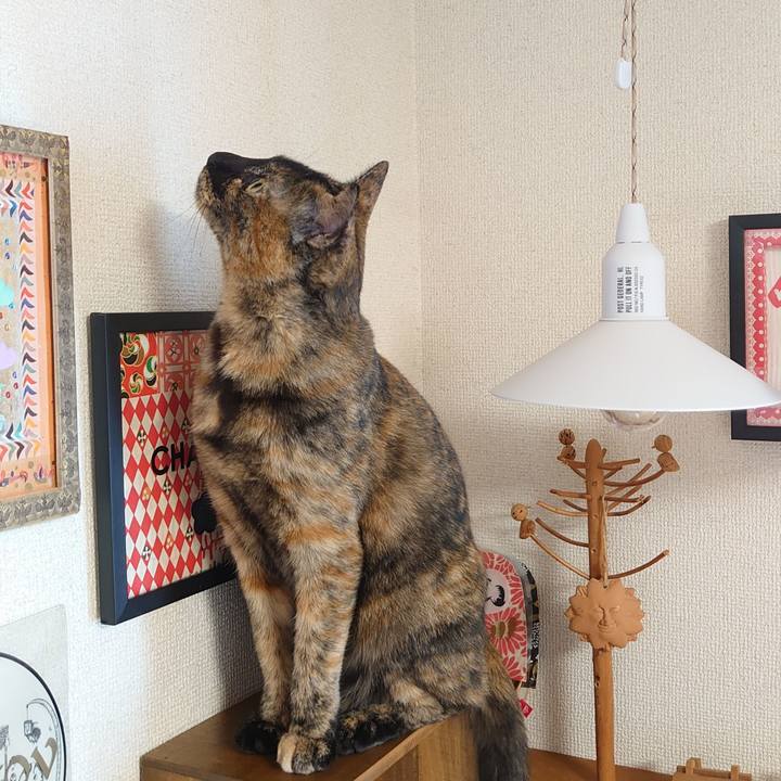 C3a596dd 743e 43b2 ba4d b35cdc2553c5 1756806611490