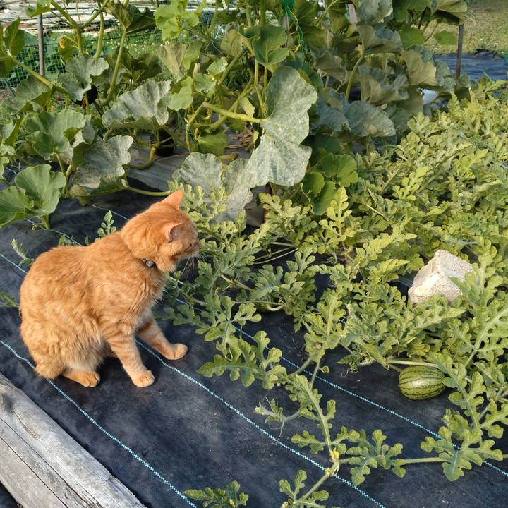 C3a59c7d a904 46a0 91a3 bfe2f8ff5ee6 1720174156370