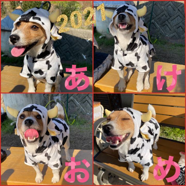 C3a5a5df ab9e 4fe3 bb1c 7b13f857395e 1609462546280