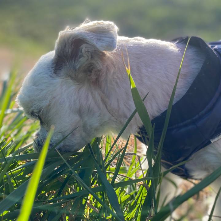 C3a5c60c cbc8 4cc1 b4d4 d1eb365cf786 1576479433106