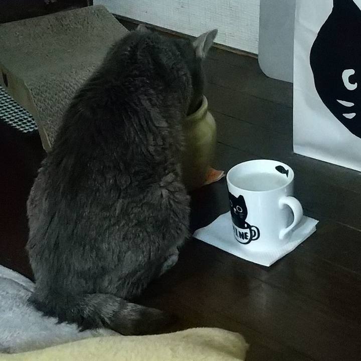 C3a5db76 2411 4326 a9b9 414e1062c42f 1698918704413