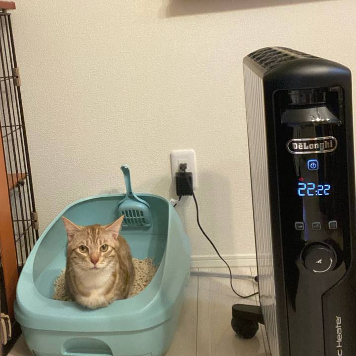 C3a61936 7483 457d ba63 9e3045d155a2 1646054745919