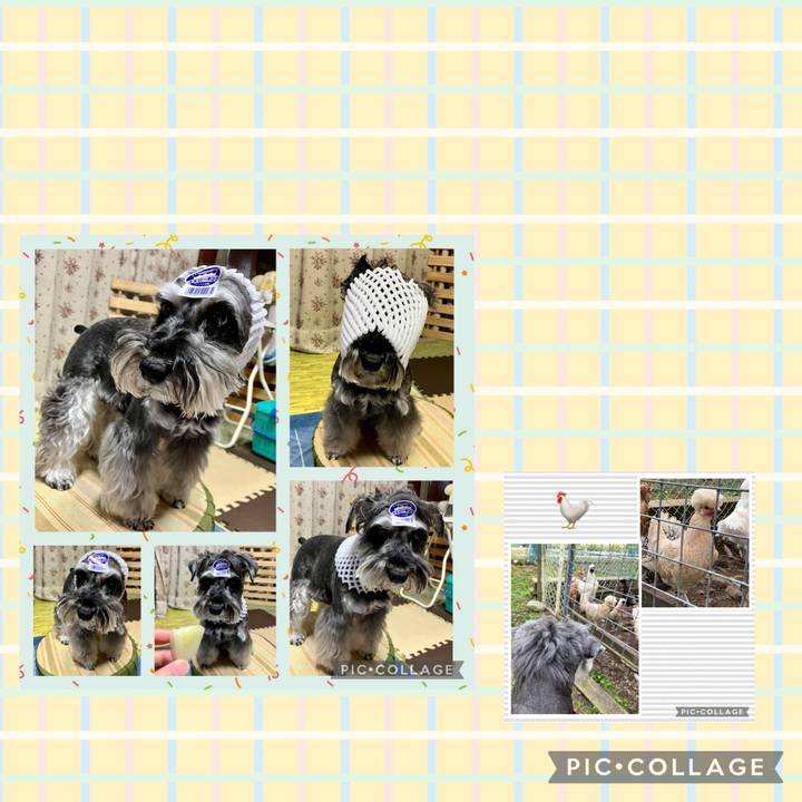 C3a62635 6059 4192 996e d1f73893b38c 1731131295134