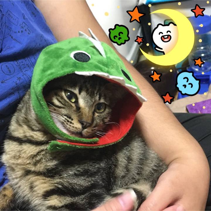 C3a651f6 09fa 464b b7f3 9f1234ec2c81 1540730428548