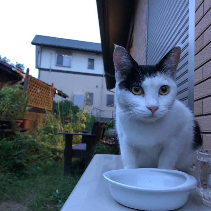 C3a67bcd b9a2 42a0 a377 7246b9d748e5 1630926794349