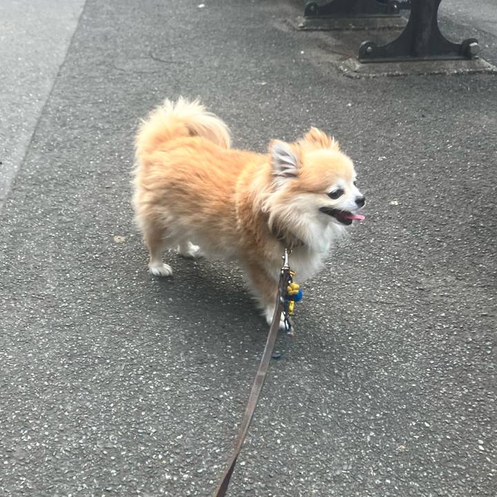 C3a6c534 e147 4b71 9f41 3732f51641a7 1751881970881