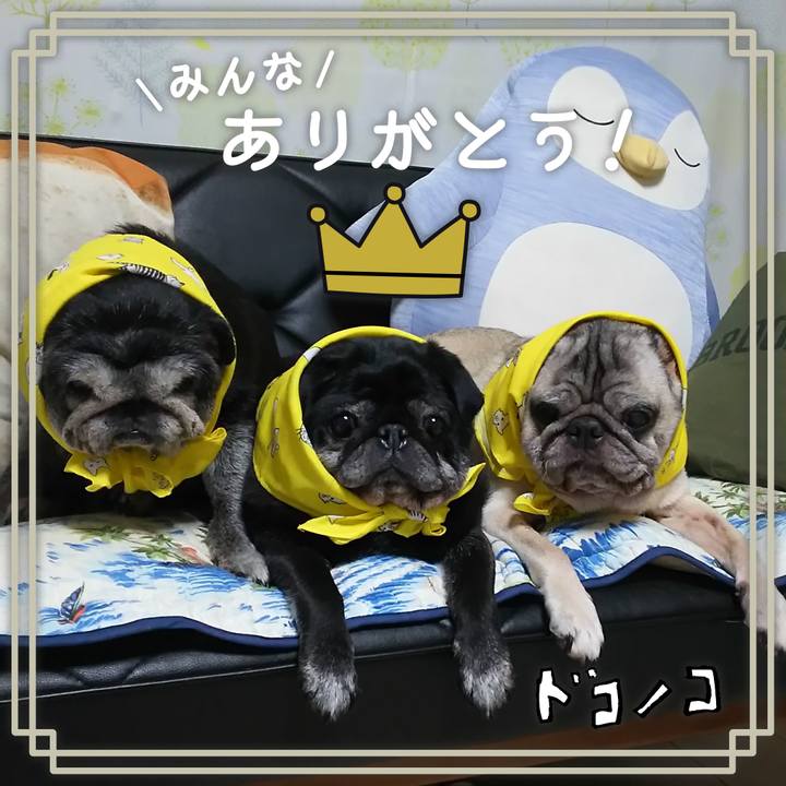 C3a6fa5f 7e09 44b7 8bf5 a8d215be2cab 1622899509847