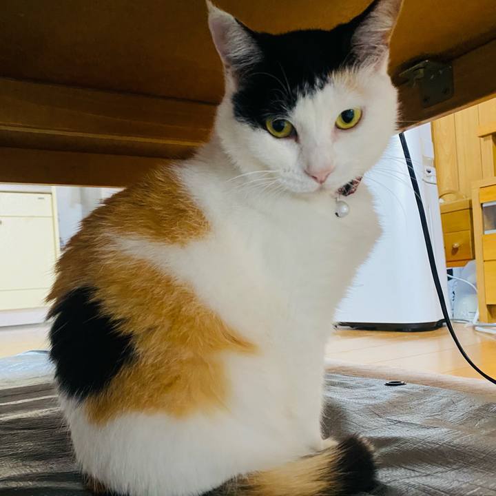 C3a70979 0393 4112 a3c3 ba0d2d30ea72 1655071193080