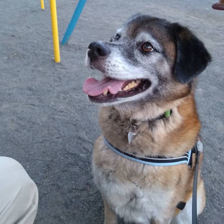 C3a71e22 0202 4a05 a78d 826df5f9ede5 1564828830169