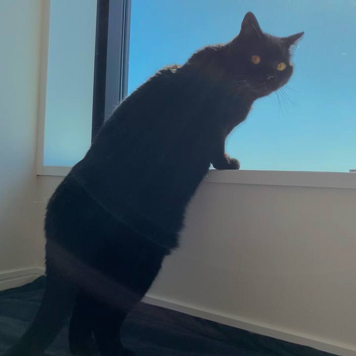 C3a7309a cf96 4dfc a037 311e90be5049 1616139097813