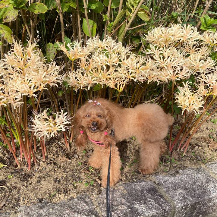 C3a74965 f0c8 4711 92d1 6a8f5b3f2cca 1759367441530